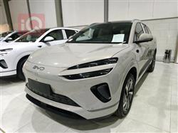 بي واي دي سيليون 06 DM-i